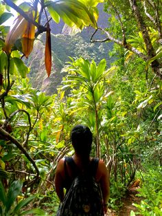 a person with a backpack is walking through the jungle