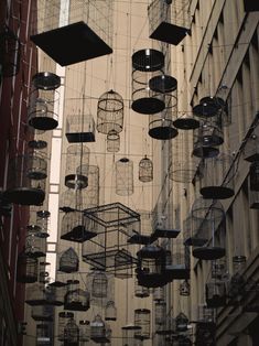 many bird cages hanging from the side of buildings