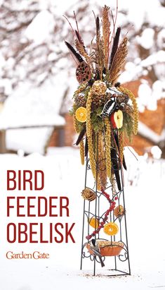 bird feeder obelisk in the snow with oranges and other things on it