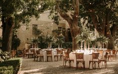 an outdoor dining area with tables, chairs and string lights strung from the tree's branches