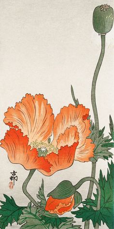 Orange Poppy By Grand Image Home 112584_P_46X24_Go 2 Japanese Wood Block Art, Orange Poppies, Ohara Koson, Illustration Botanique, Botanical Art Prints, Edvard Munch, Japon Illustration, Japanese Flowers