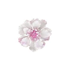 a white and pink flower on a white background