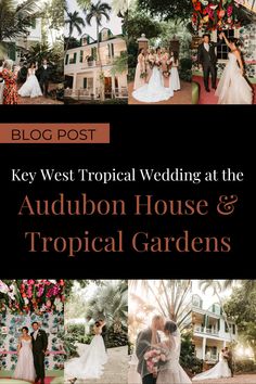 the wedding party at the auduon house and tropical gardens is featured in this postcard