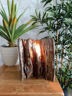 a wooden table topped with a plant next to a potted plant and a light