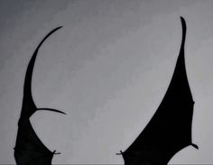 the silhouette of a bat flying in the sky with it's wings spread out