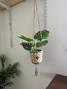 a potted plant hanging from a metal chain