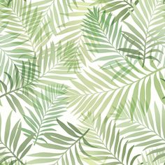 a green palm leaf pattern on a white background