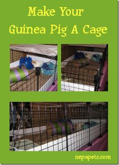 an animal cage is shown with the words make your guinea pig a cage