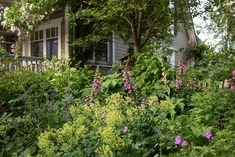 the house is surrounded by lush green and purple flowers in front of it, along with other plants