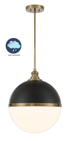 a black and gold pendant light with an oval glass shade