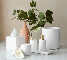 white bathroom accessories on marble counter top with potted plant in vase and soap dispenser