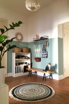 a living room with blue walls and wooden flooring, a potted plant in the corner