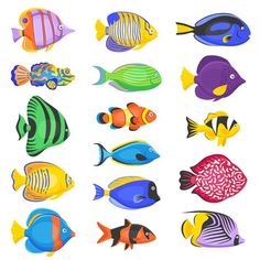 colorful tropical fish - animals characters