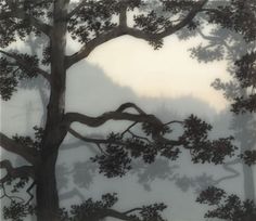 an image of trees in the foggy forest