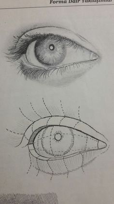 an eye is shown with the iris in it's left side and right side