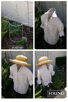 four pictures of clothes with hats on them and plants growing in the yard behind them