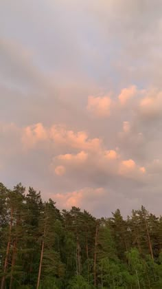 the sky is filled with pink clouds and green trees in the foreground are tall pine trees