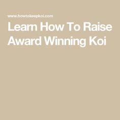 the words learn how to raise award winning koi in white on a beige background