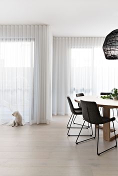 a dog sitting on the floor in front of a dining room table with black chairs