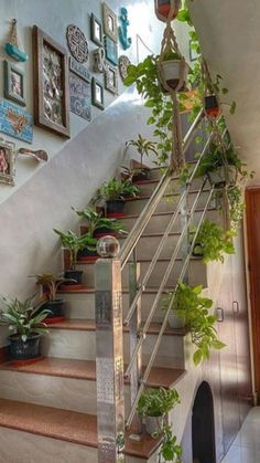 some plants are growing up the side of a stair case that is decorated with pictures on the wall