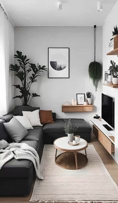 a black and white living room with plants on the wall, couches and coffee table