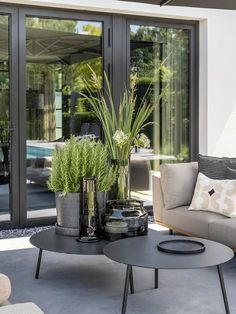 a living room with two couches and some potted plants on the coffee table