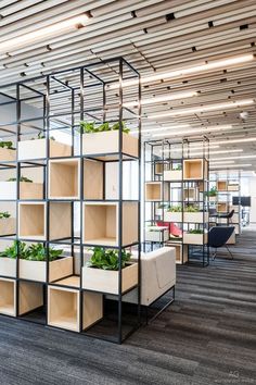 an office filled with lots of planters and shelves full of plants on the wall