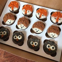 twelve cupcakes with frosting decorated as hedgehogs and an owl on top