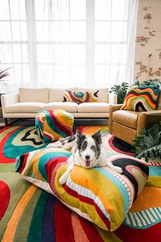 a black and white dog is laying on a multicolored rug in the living room