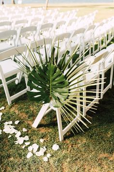 an outdoor ceremony setup with white chairs and large palm leaf centerpieces on the grass