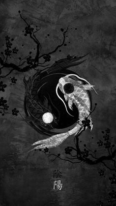 Dark Background, Yin Yang, The Moon, Fish, Moon, Wallpapers, Black And White, Iphone, White