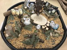 there are many small owls sitting on the rocks in this tray with pine cones and branches