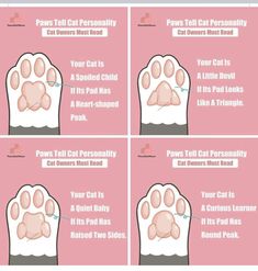 four different stages of cat paw formation with instructions on how to use the paws and claws