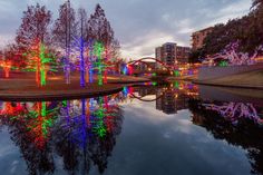 christmas lights are reflected in the still water of a pond at dusk with trees and bridge in the background