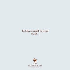 an image of a horse with the words so tiny, so small, so loved by all