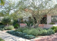 a house with landscaping in front of it and trees on the side of the building