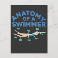 an anatomy of a swimmer poster on a white background with blue lettering and the words anatomy of a swimmer