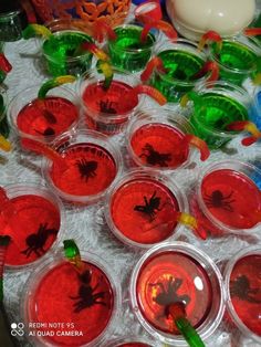 plastic cups filled with red and green jello - o - treat spider candies