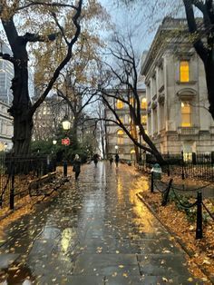 people walking down the street on a rainy day with umbrellas and trees in the foreground