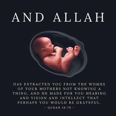 an image of a baby in the middle of it's stomach with words above it that says, and allah