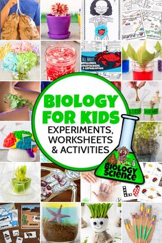 collage of different activities and crafts for kids to do with the text, biology for kids experiments, worksheets & activities