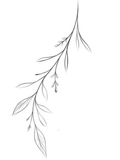 a black and white drawing of a branch