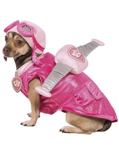 a dog dressed up in a pink outfit