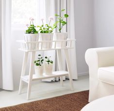 three potted plants sit on a white shelf in front of a window with curtains