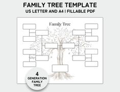 the family tree is shown with four branches on it, and three smaller branches are labeled in