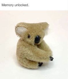 a stuffed koala bear sitting on top of a white table