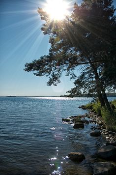 the sun shines brightly over the water and rocks on the shore, with trees in the foreground