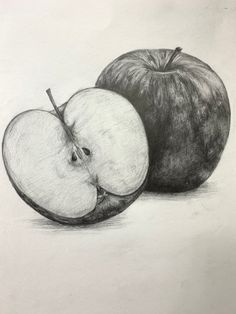 pencil drawing of two apples on white paper