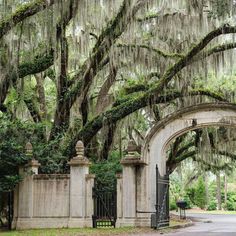 an old gate is surrounded by trees with spanish moss hanging from it's branches