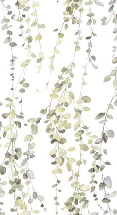 sample hanging watercolor vines peel stick wallpaper in taupe by york wallcoverings 1 Green Branches Wallpaper, White And Green Minimalist Wallpaper, Watercolor Vines, Modern Wallpaper Designs, Pattern Design Inspiration, Drops Patterns, York Wallcoverings, Peel Stick Wallpaper, Modern Wallpaper